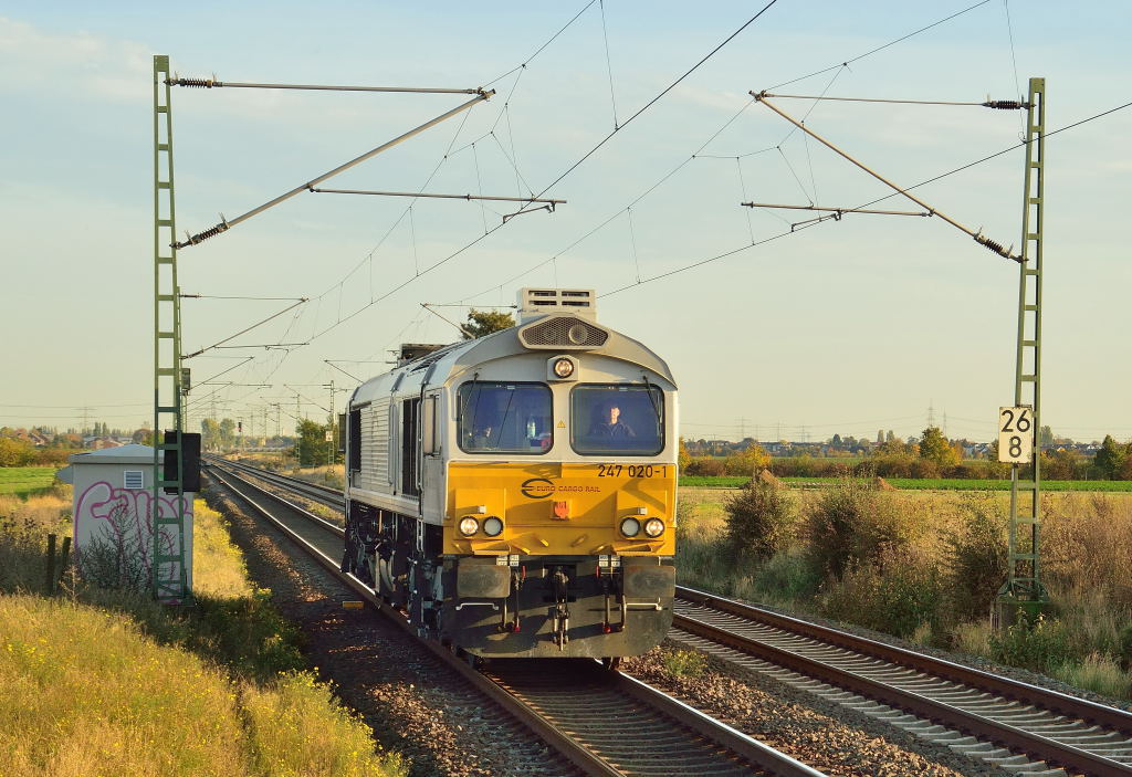 wright in the front of the plattform of track one near Allerheiligen station this Euro Cargo Rail Class 66 diesellocomotive with the companynumber 247 020-1 rides single in dirction Neuss. 18th of octobre 2012