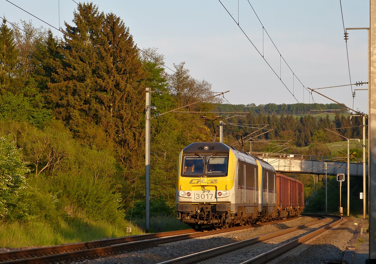 . 3017 and 3005 are hauling a CFL Cargo freight service through Wilwerwiltz in the evening sun of May 16th, 2014.