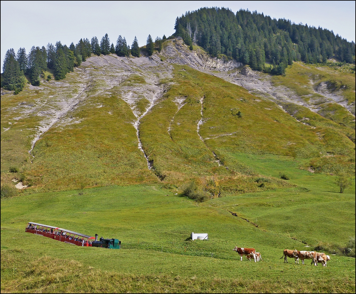 . A steam train is running on the BRB track between Planalp and Chemad on September 28th, 2013.