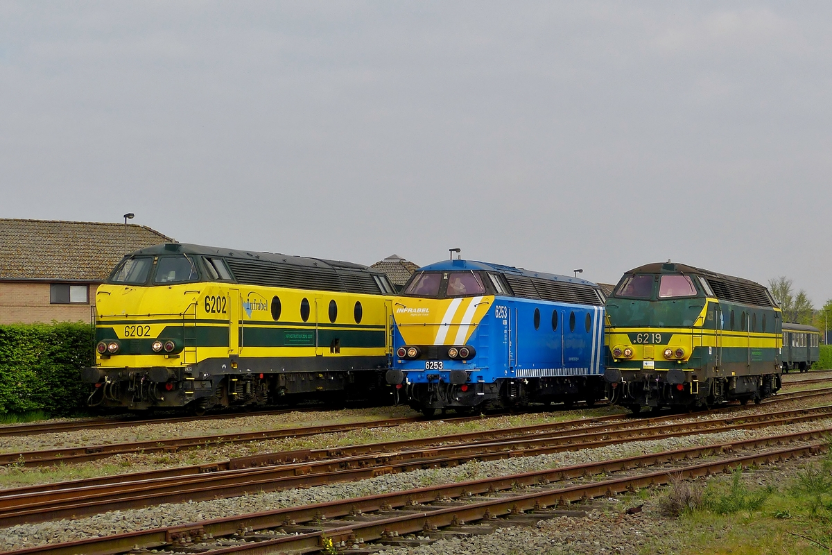 . HLD 6202, 6253 and 6219 photographed in Zelzate on April 5th, 2014.