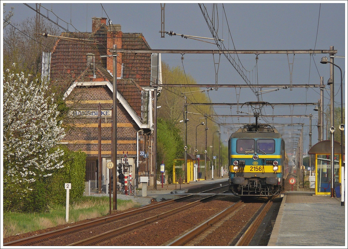 . HLE 2156 is running through the station of Hansbeke on April 10th, 2009.