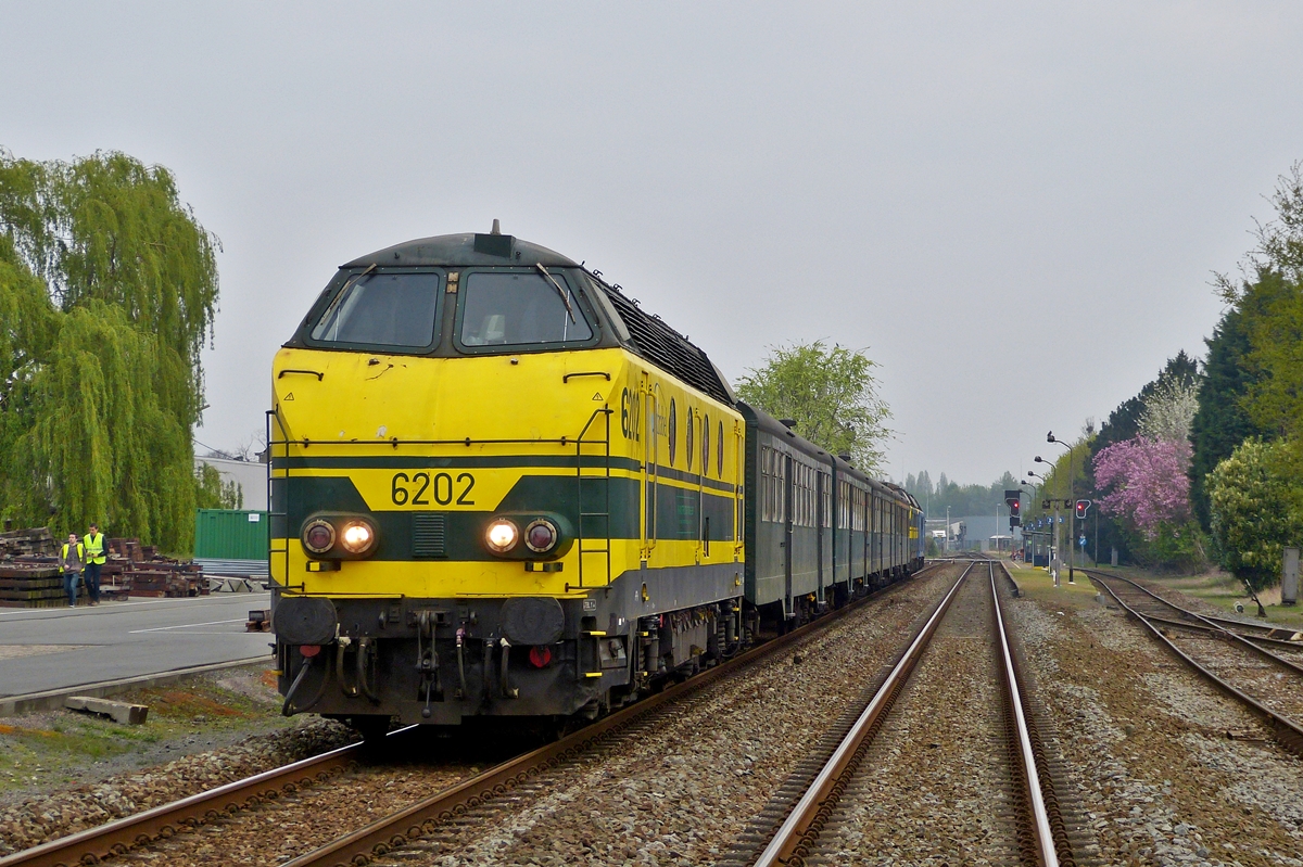 . The special train  Hommage aux locos de la srie 62  pictured in a by the organizer protected area of the station in Wondelgem on April 5th, 2014.