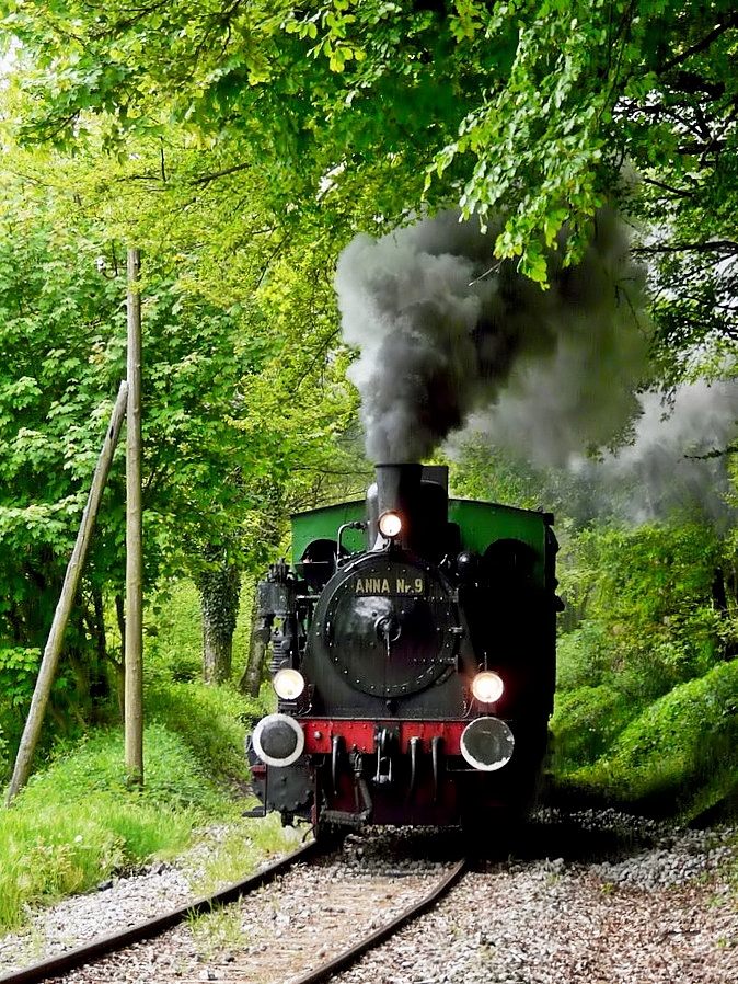 . The steam engine  Anna N 9  is running on the heritage railway track of  Train 1900  between Ptange and Fuusbsch on May 3rd, 2009.