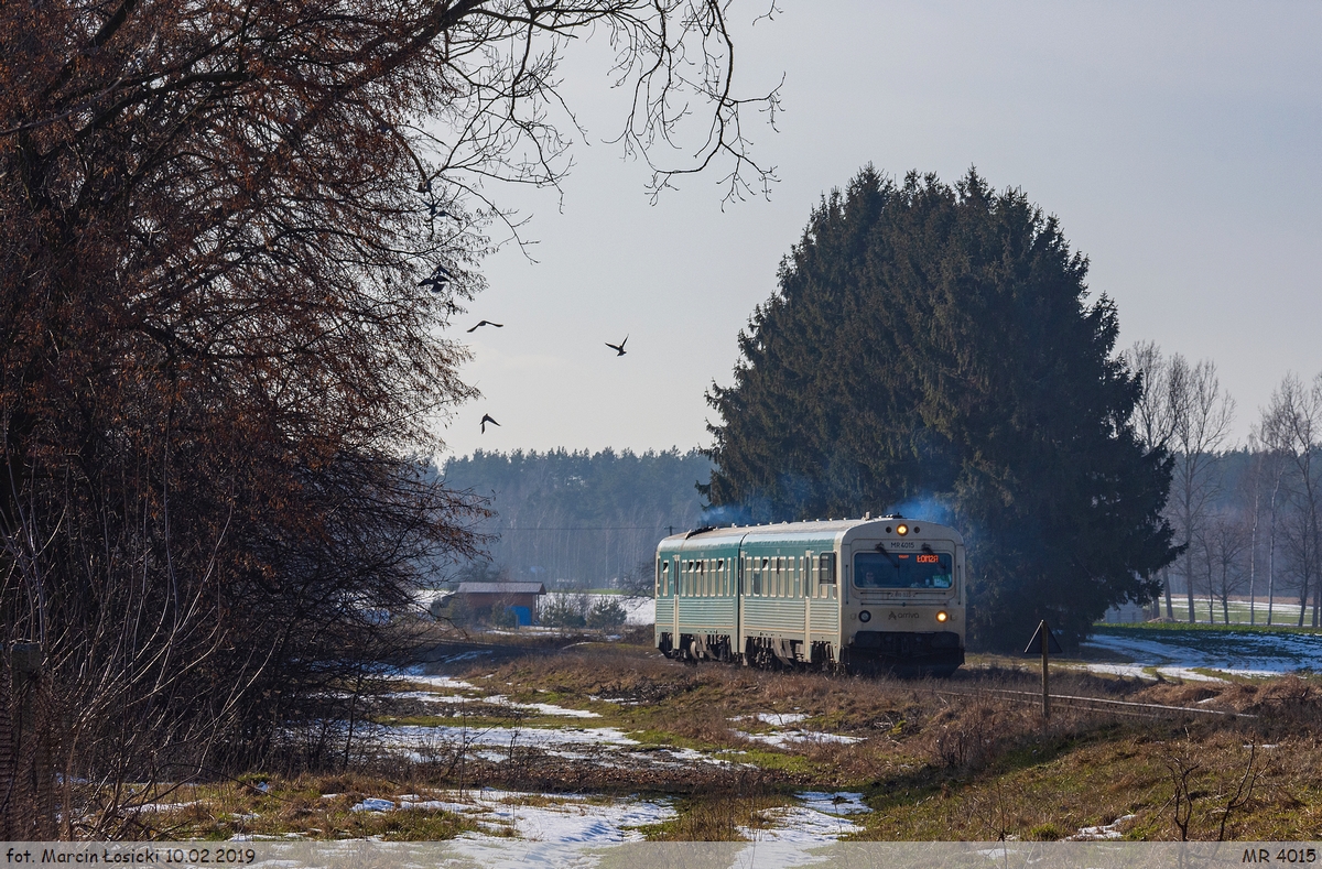 10.02.2019 | Koziki - MR 4015 as special KURPIE going to Łomża.