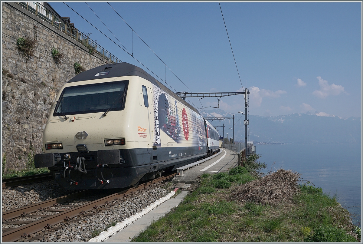 175 years switzerland railway - and here the Re 460 019 for the Jubilee.

The SBB Re 460 019 with th IR 1720 by St Saphorin. 

25. März 2022