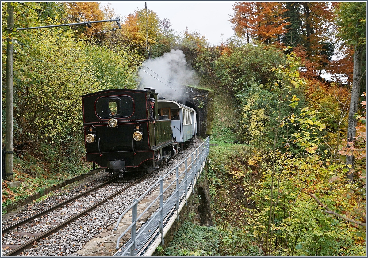 50 years Blonay-Chamby, LA DER: the Blonay-Chaby G 3/3 N° on the way to Blonay near Vers-Chez Robert. 

28.10.2018