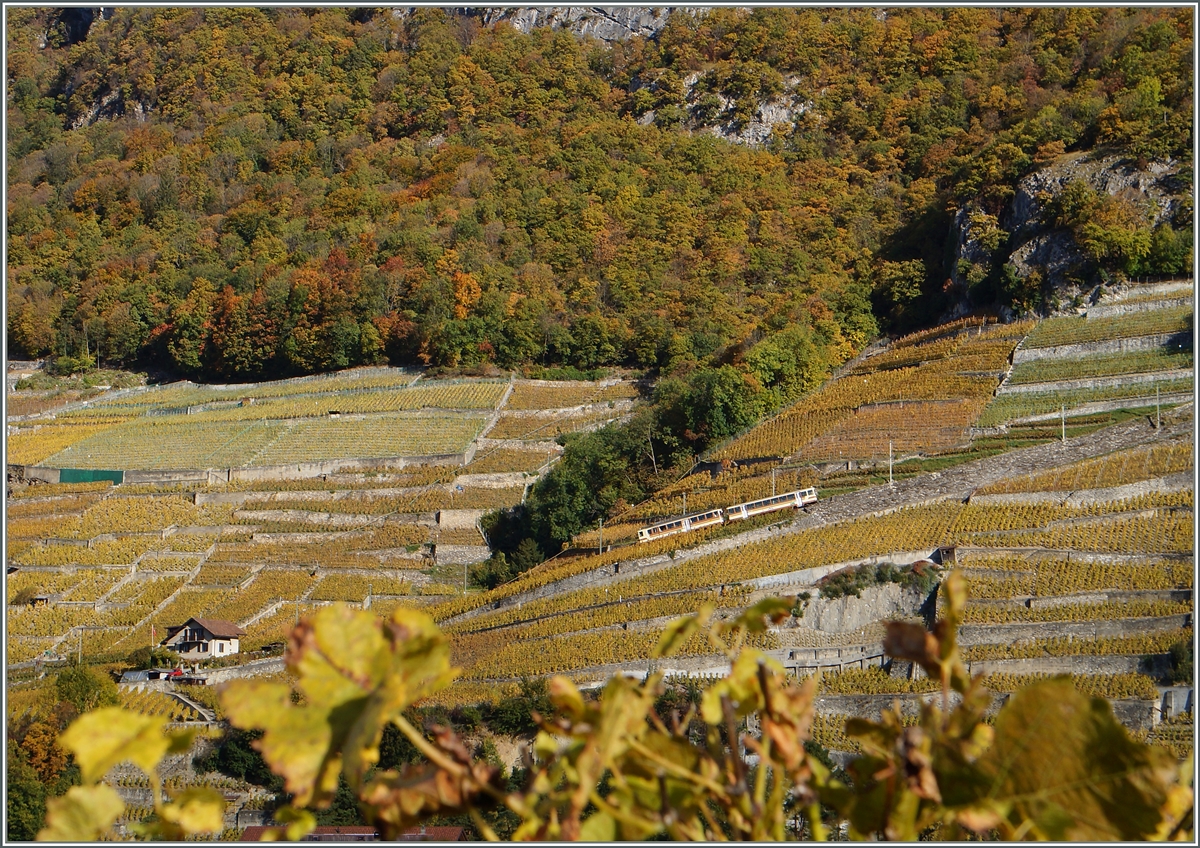 A A-L local train in the Aigle's Vineyards. 
3.11.2014