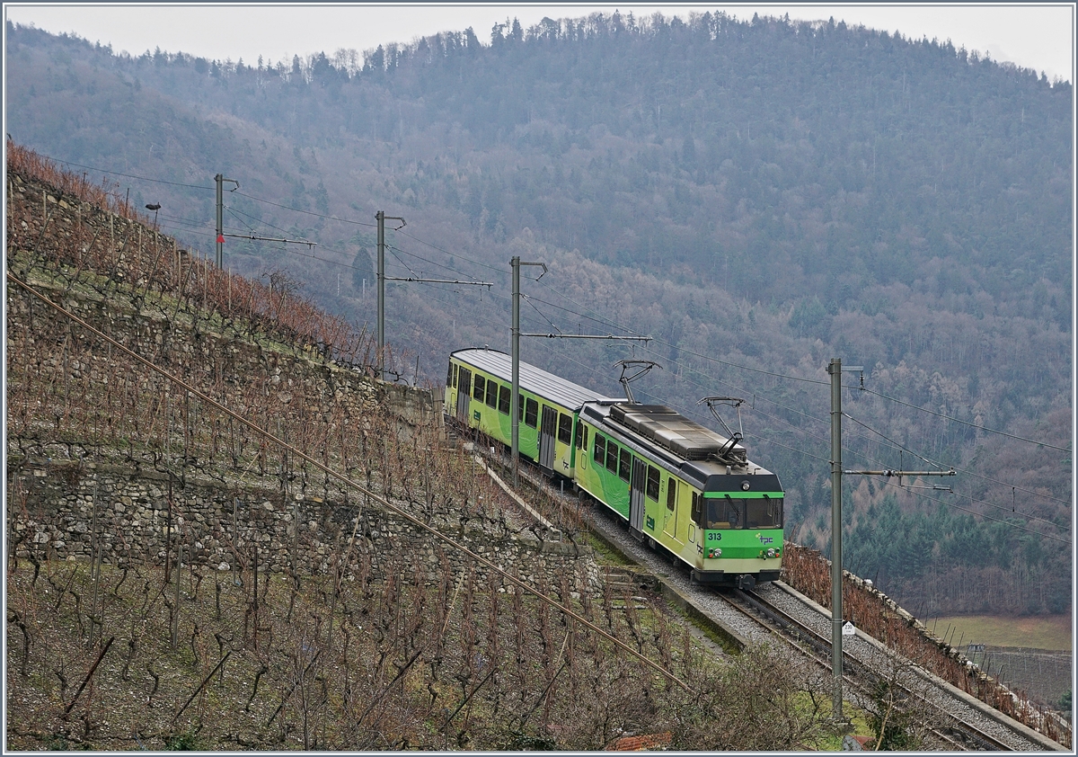 A AL local train in the vineyards over Aigle.
07.01.2018