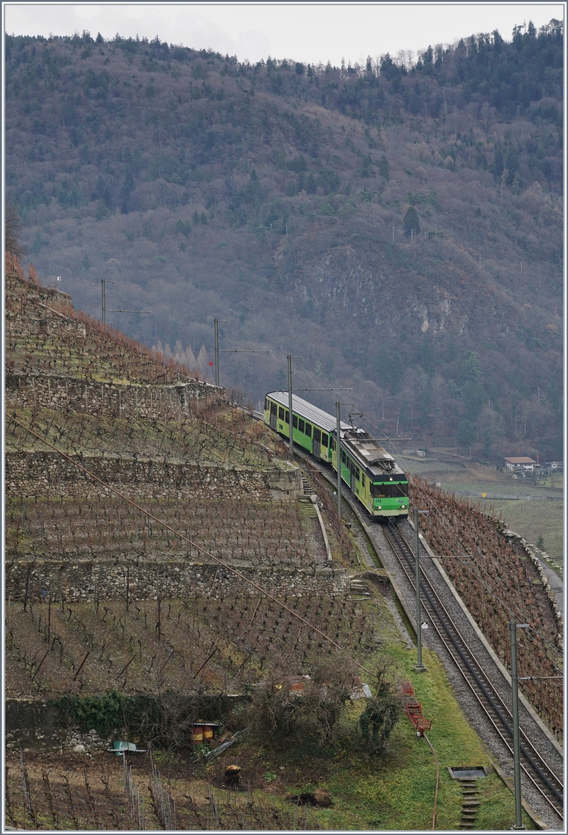 A AL local train in the vineyards over Aigle.
07.01.2018