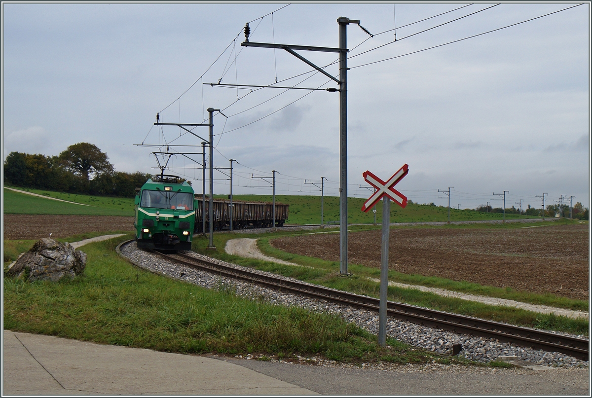 A AM Cargo train between Apples and Yens. 
15.10.2014