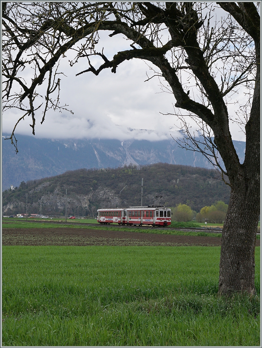 A AOMC local train by Villy.
07.04.2016