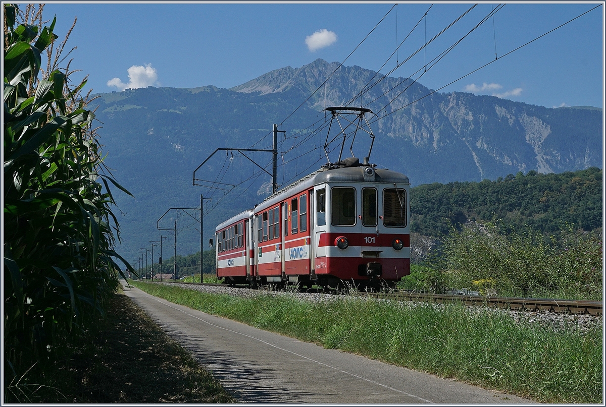 A AOMC local train by Villy.
26.08.2016