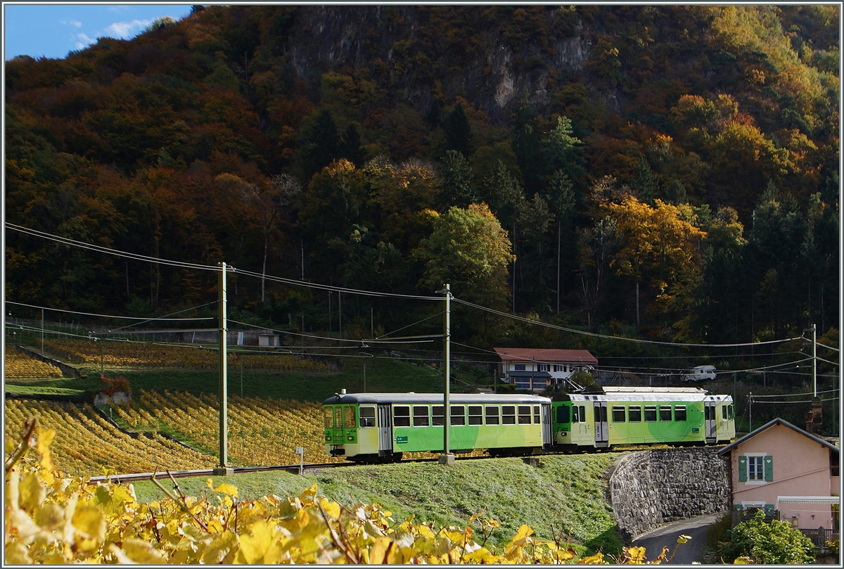 A ASD local train near Aigle. 
03.11.2014