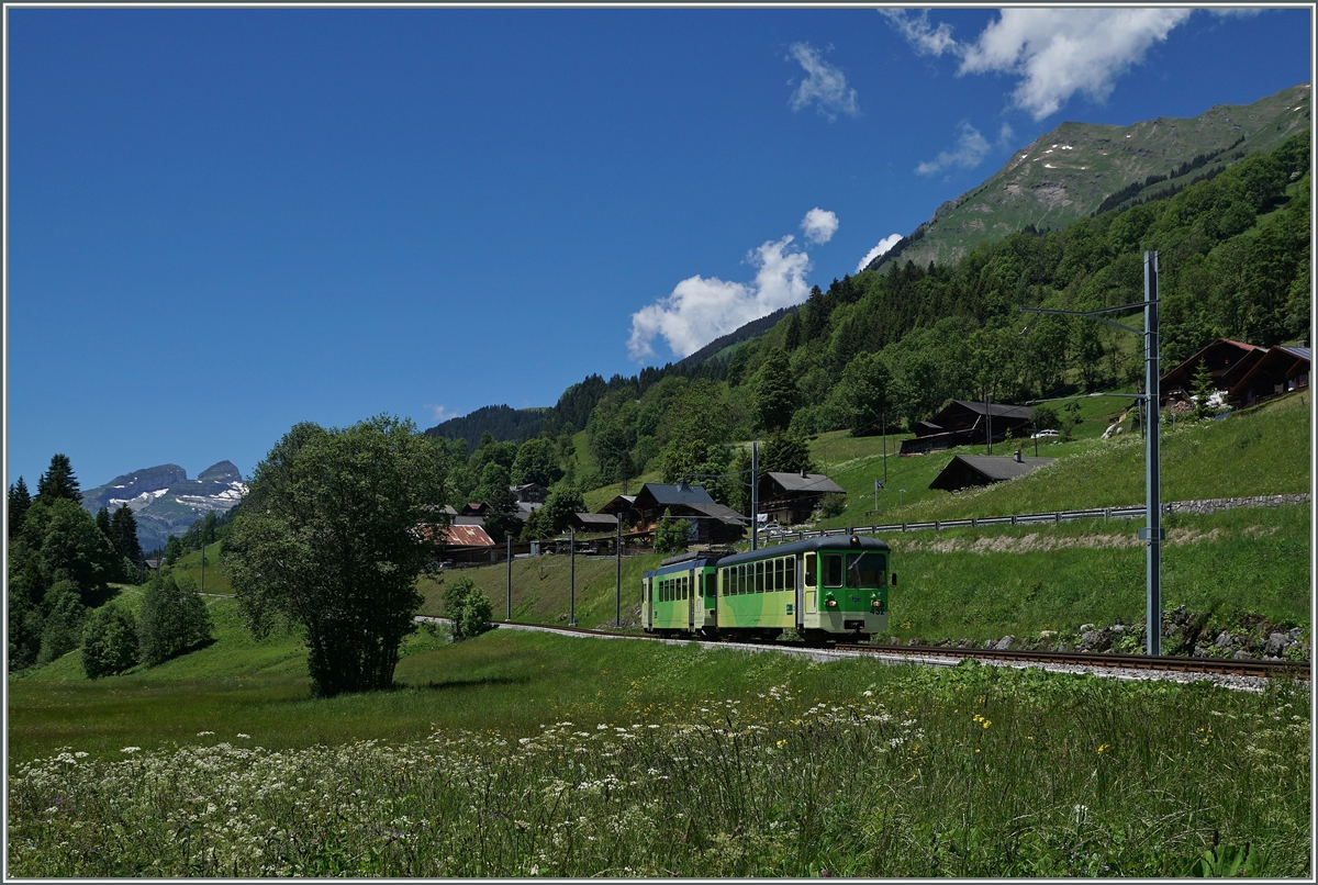 A ASD local train near Les Diablerets.
22.06.2016