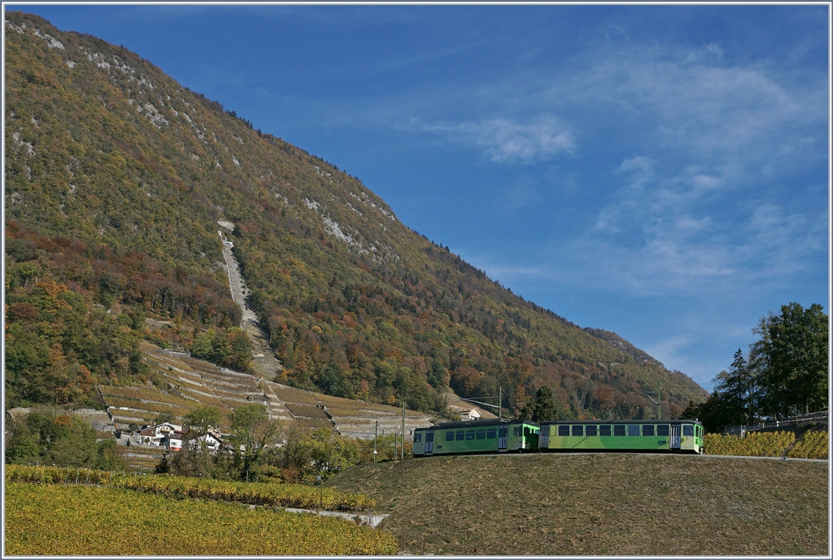 A ASD local train on the way to Aigle in the vineyard ober Aigle .
26.10.2018