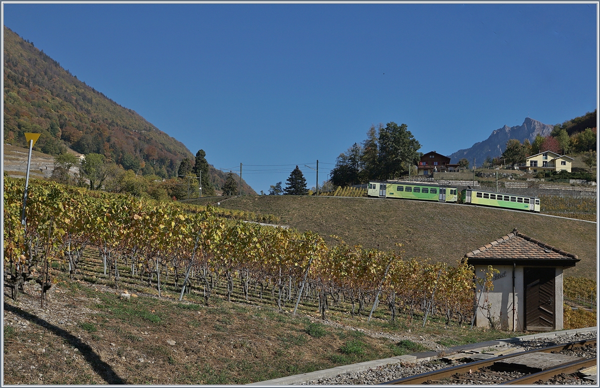 A ASD local train over Aigle in the vineyards.

26.10.2018