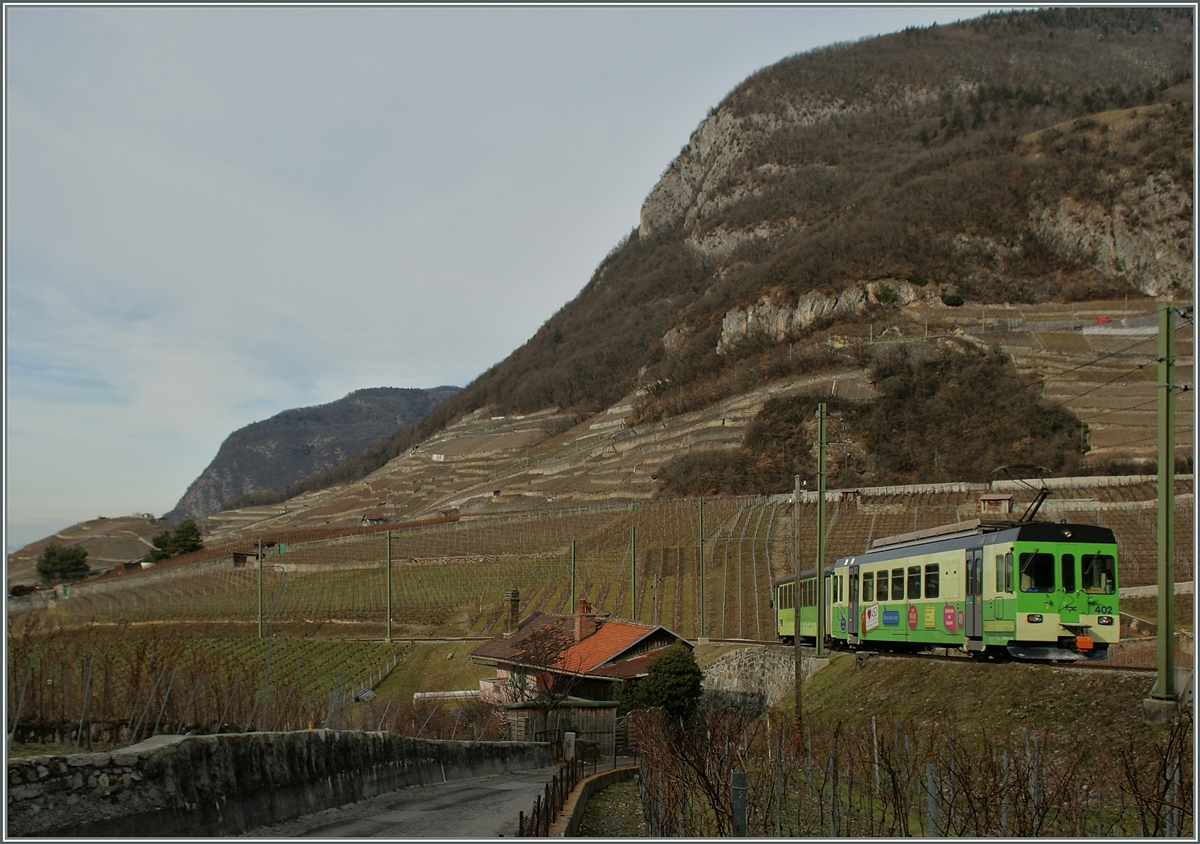 A ASD local train in the Vineyards by Aigle. 25.01.2014