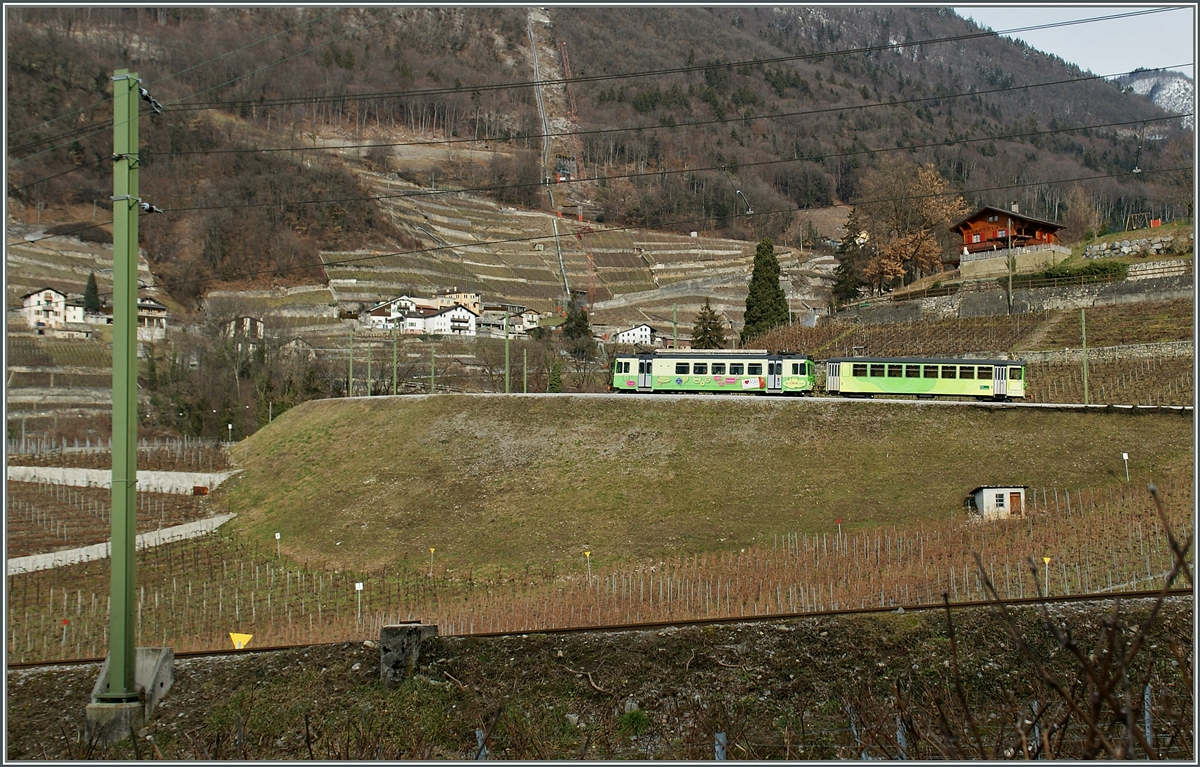 A ASD local train in the Vineyards by Aigle.
25.01.2014