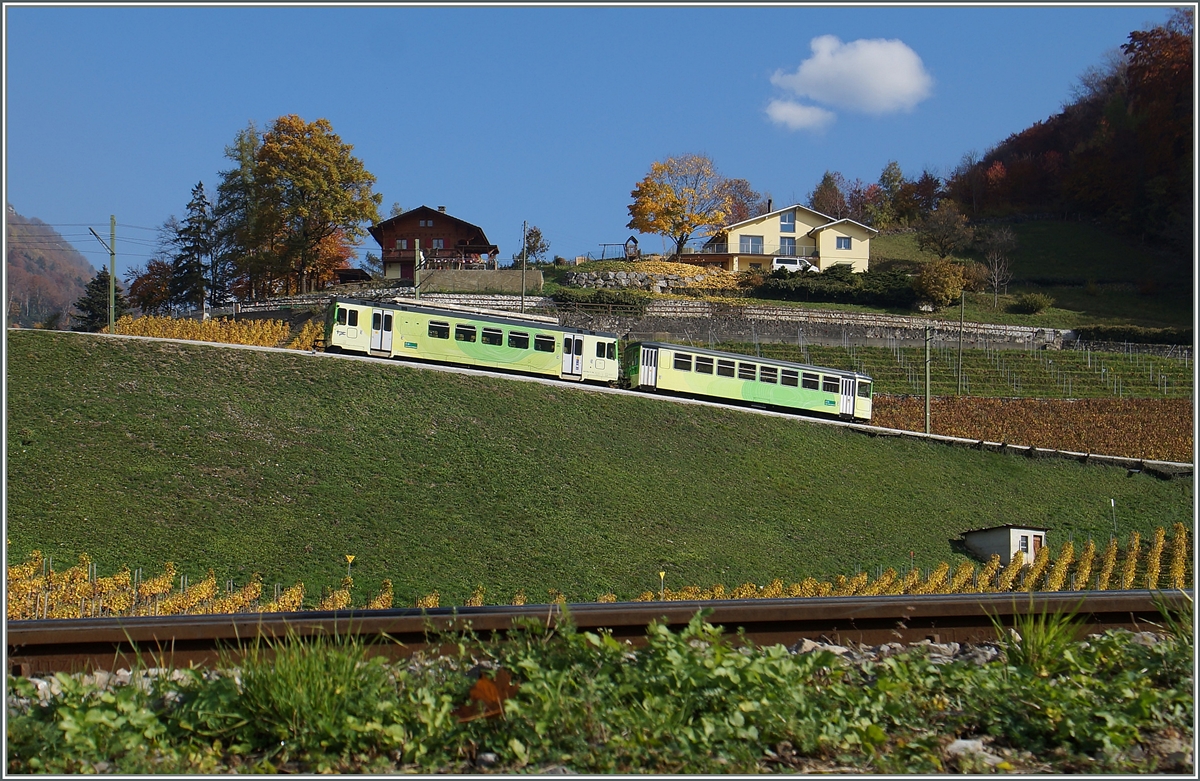 A ASD local train in the vineyards over Aigle.
04.11.2015