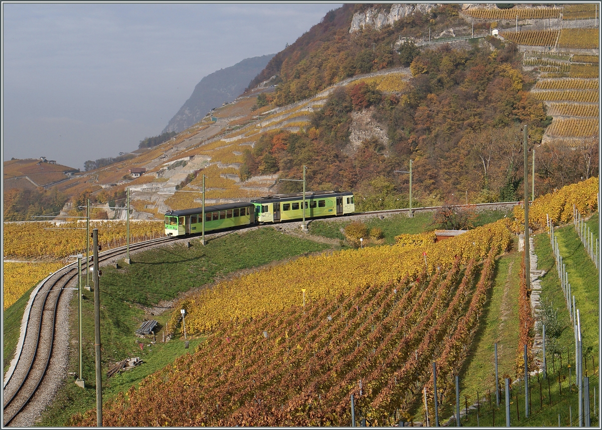 A ASD local train in the vineyards over Aigle.
04.11.2015
