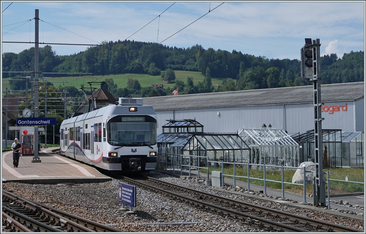 A AVA ABe 4/8 is the S14 form Aarau to Menziken and this service makes a stop in Gontenschwil. 

26.08.2022 