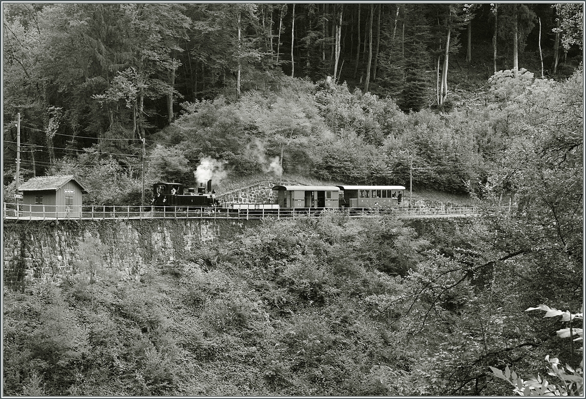 A B-C Steamer Train by  Vers chez Robert . 
06.10.2013