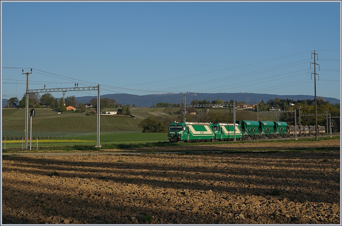 A BAM Cargo train wiht the Ge 4/4 21 ans 22 by Chigny.
10.04.2017