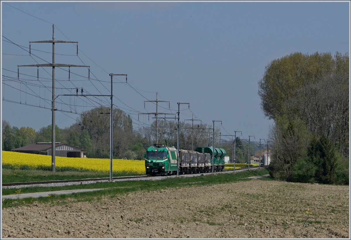 A BAM Ge 4/4 wiht a Cargo Train to Apples near Yens.
11.04.2017