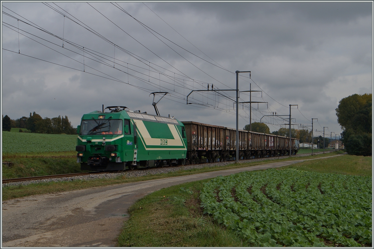 A BAM Ge 4/4 with a Cargo train near Yens.
15.10.2014