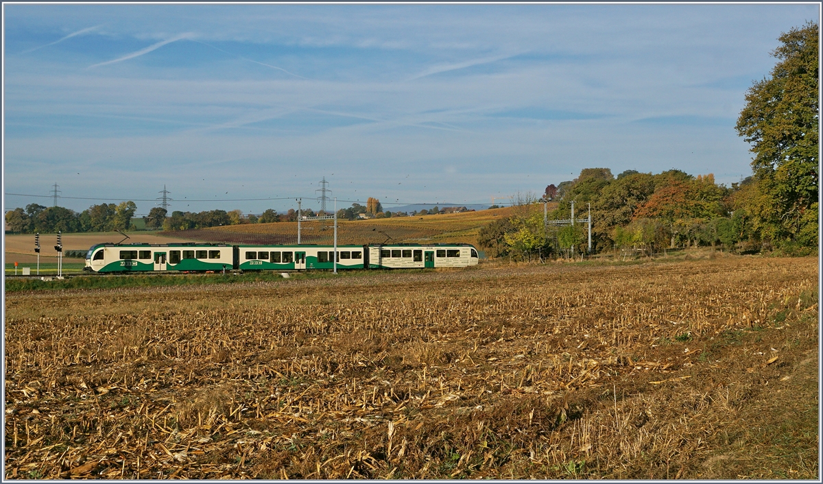 A BAM loacl train by Chigny.
17.10.2017