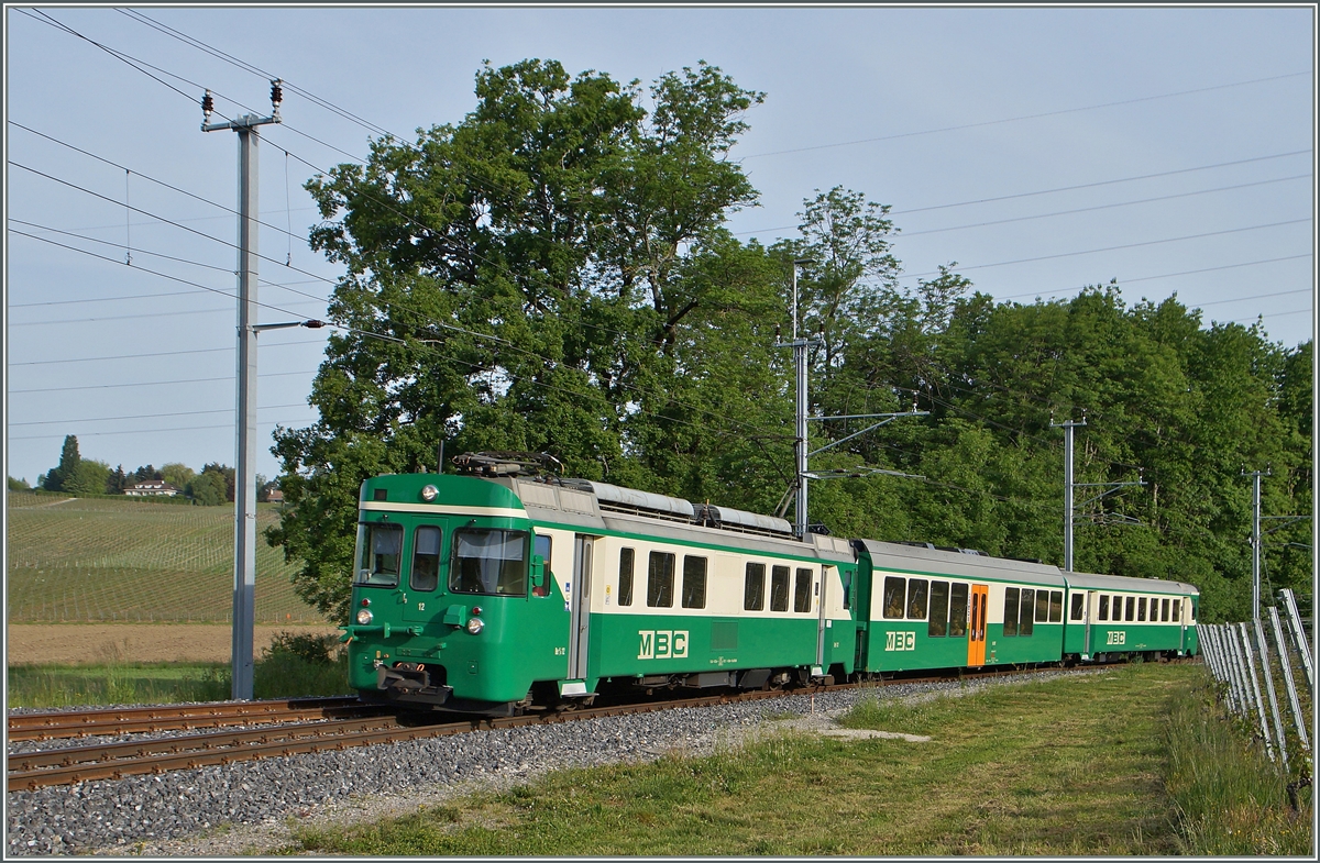 A BAM local train between Chigny and Vufflens le Château.
12.05.2015