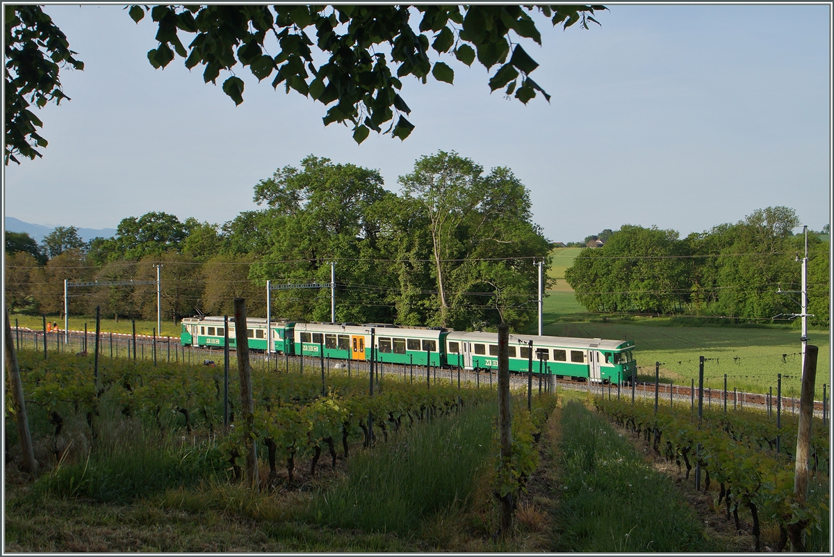 A BAM local train between Chigny and Vufflens le Château.
12.05.2015