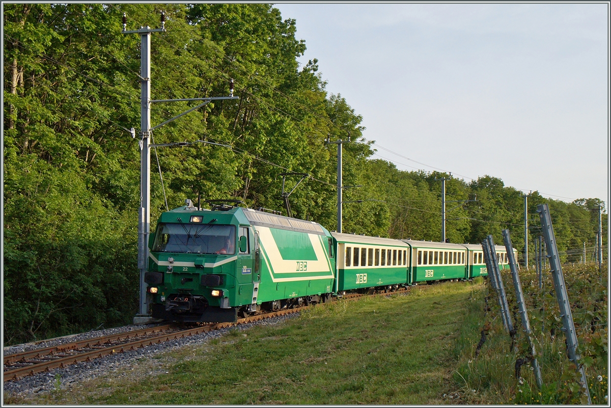 A BAM local train between Chigny and Vufflens le Château.
12.05.2015