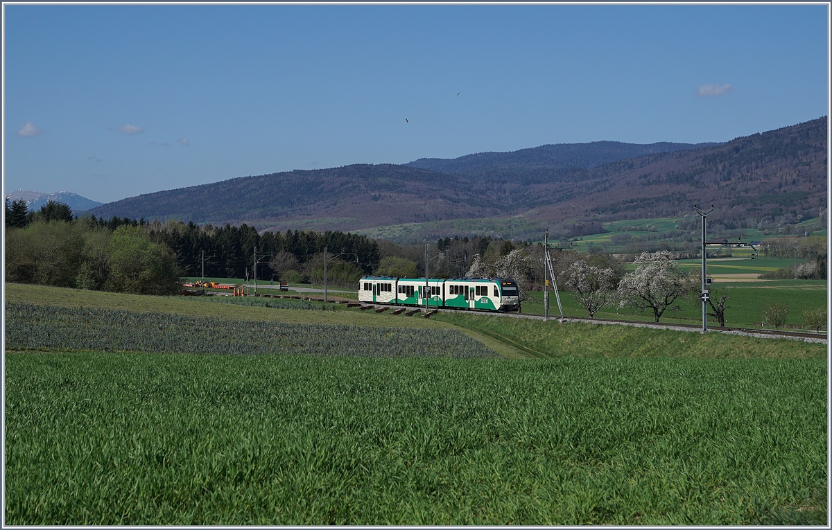 A BAM local train between Ballens and Bière.
10.04.2017