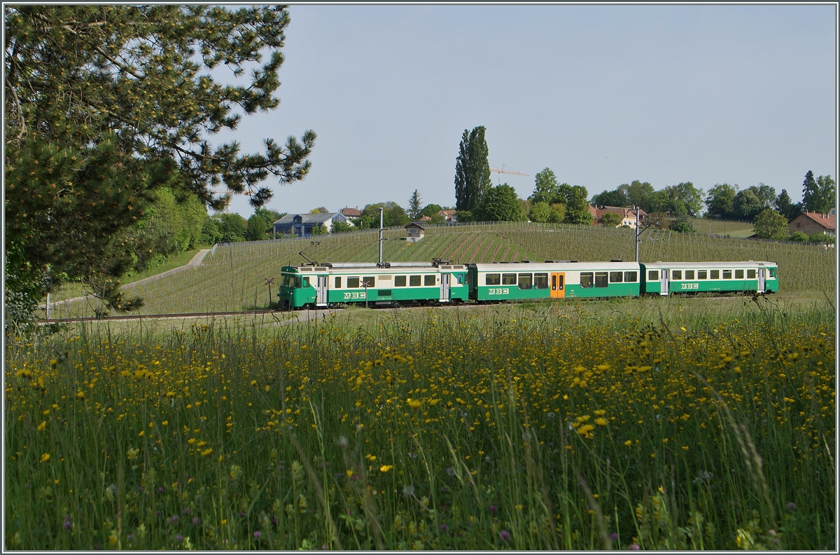 A BAM local train by Vufflens le Chateau. 11.05.2015