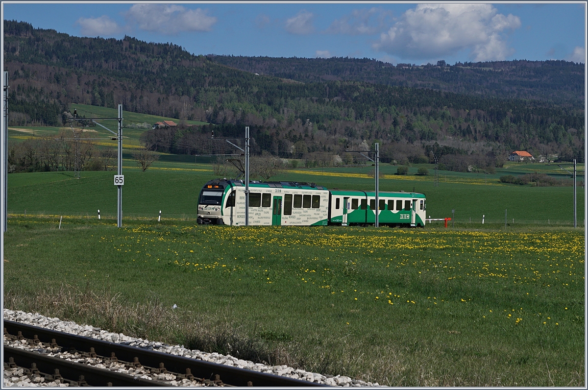 A BAM local train by Montricher.
10.04.2017