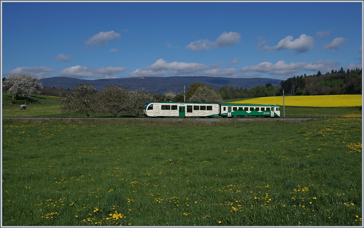 A BAM local train by Apples.
10.04.2017