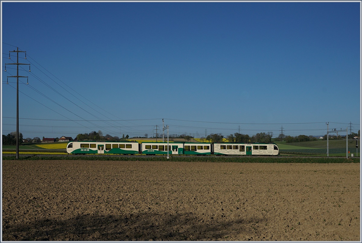 A BAM local train by Chigny. 
10.04.2017