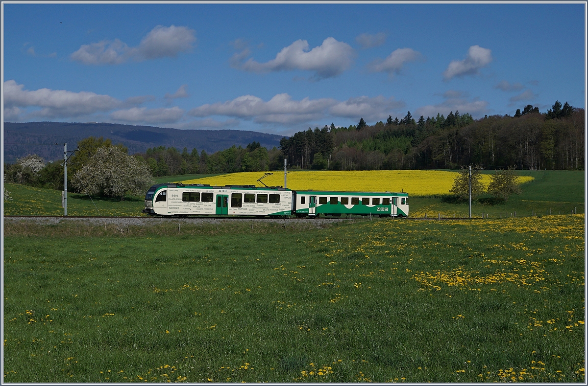 A BAM local train by Apples.
14.04.2017