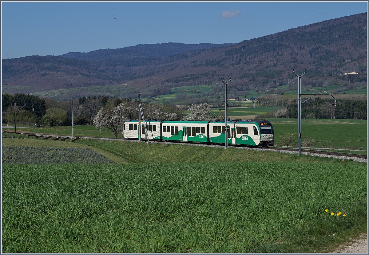 A BAM local train from Bière to Morges near Ballens.
10.04.2017