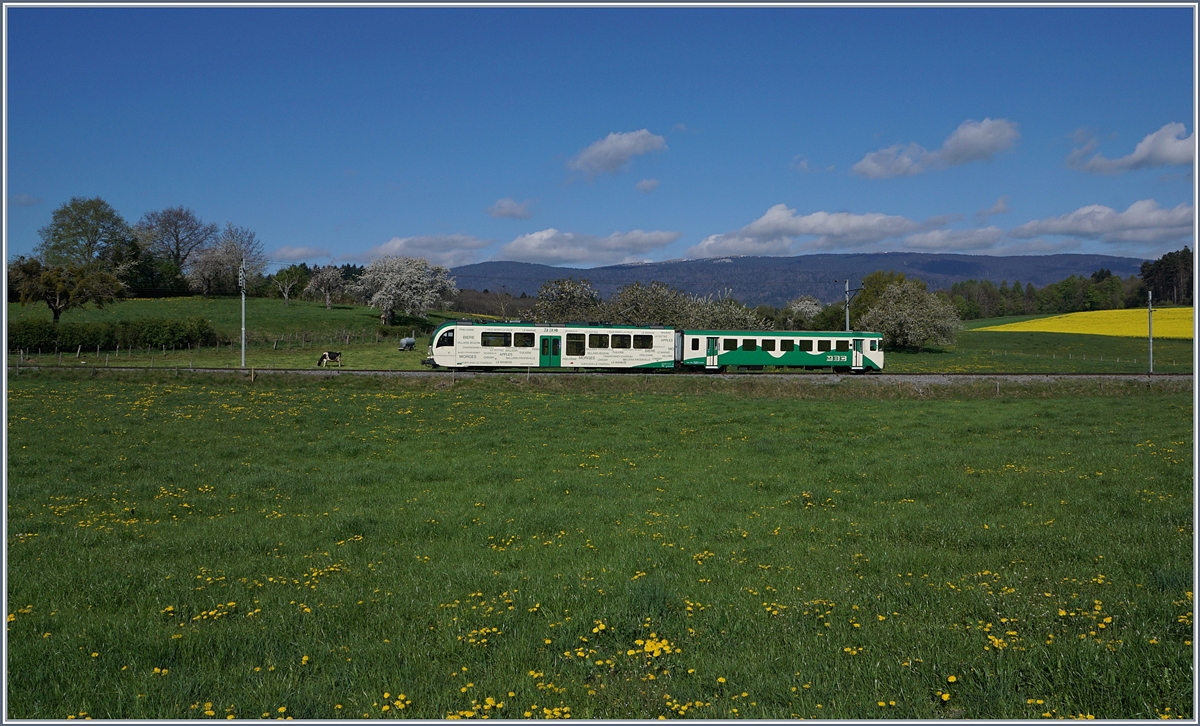 A BAM local train from l'Isle to Apples near Apples.
14.04.2017