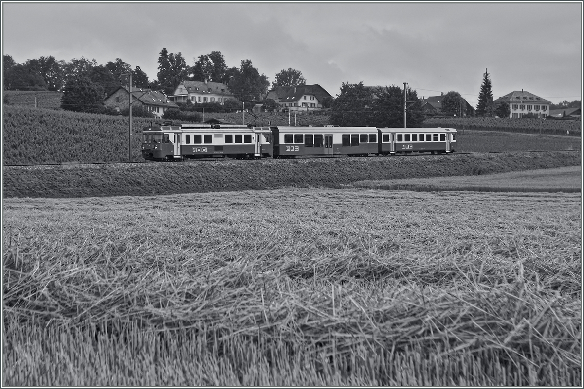 A BAM local train near Yens.
03.07.2014