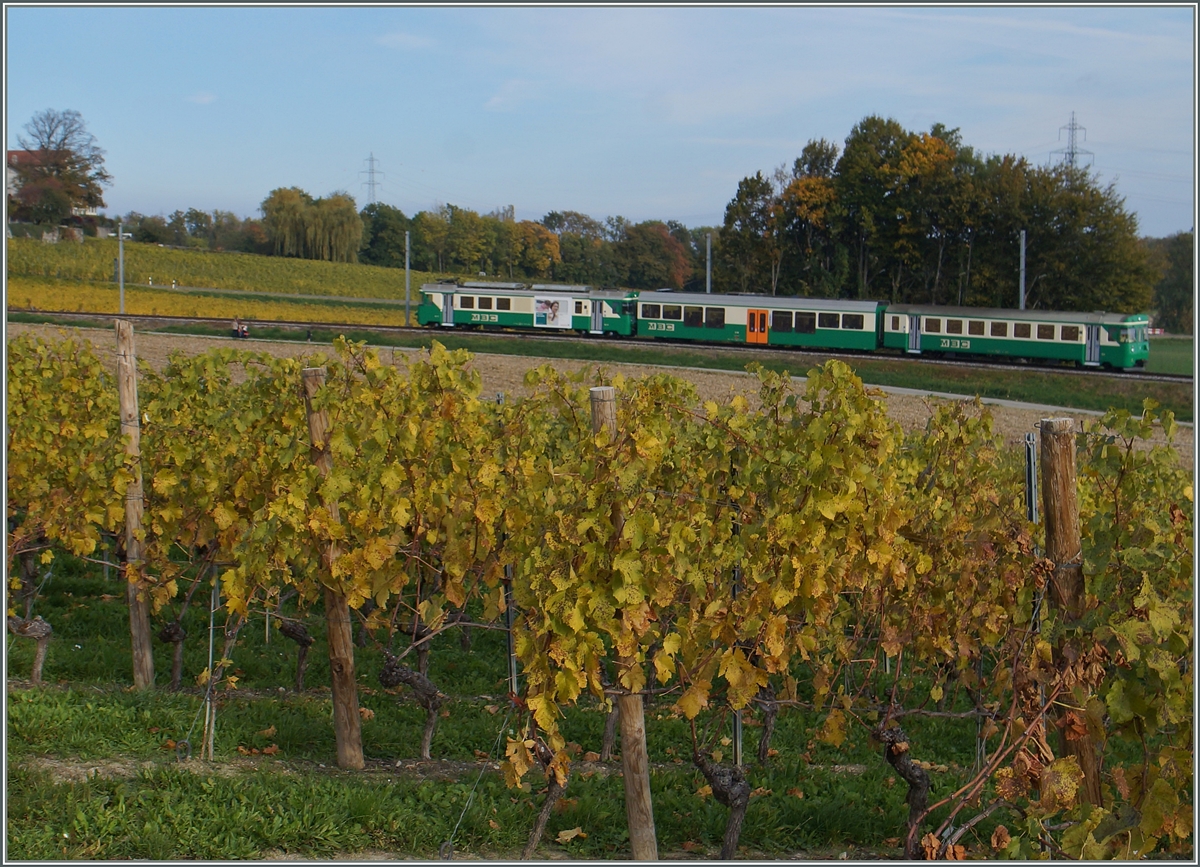 A BAM local train near Vufflens le Chateau.
20.10.2015