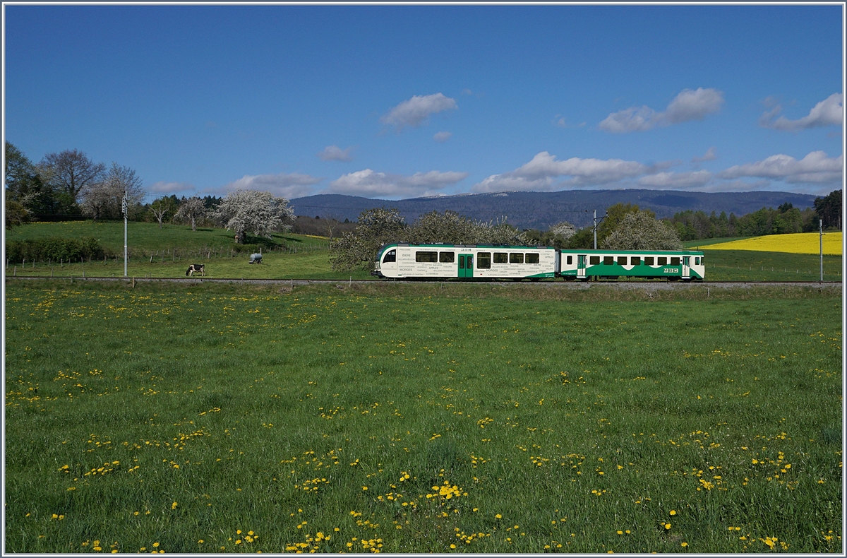 A BAM local train near Apples.
14.04.2017