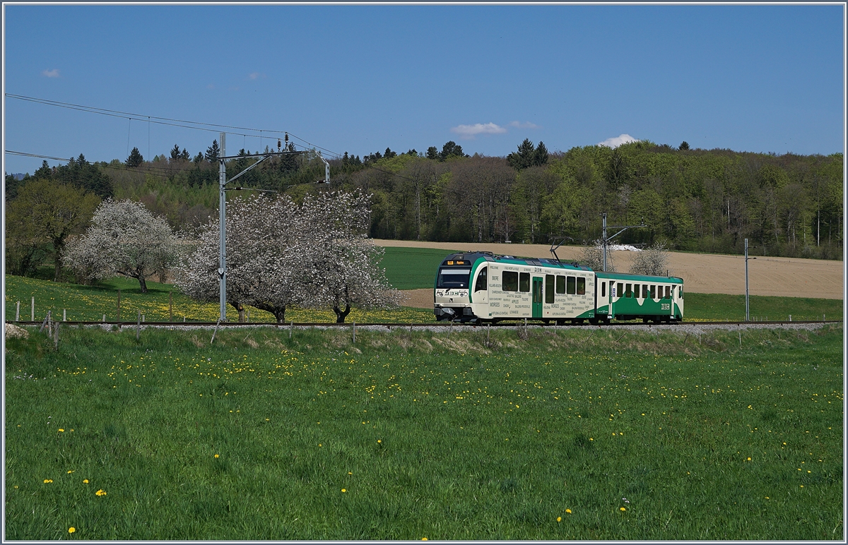 A BAM local train near Apples.
19.04.2018