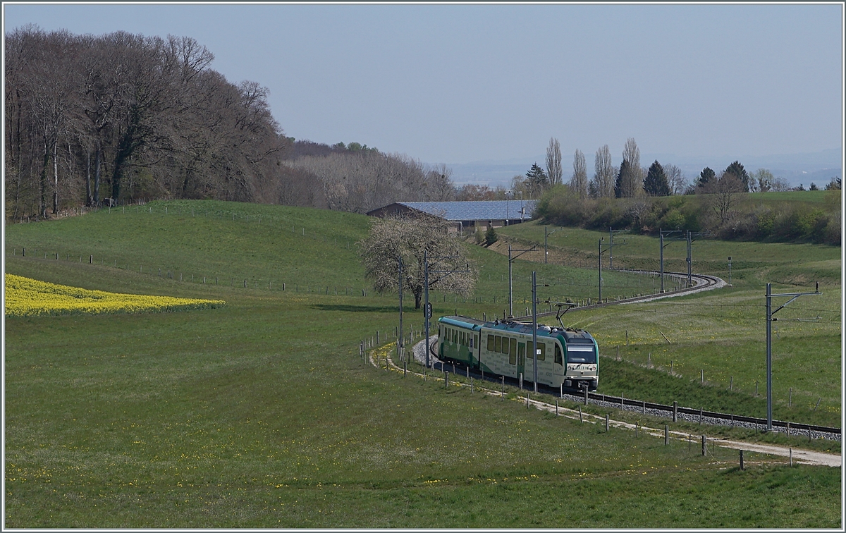 A BAM local train near Apples. 

20.04.2021