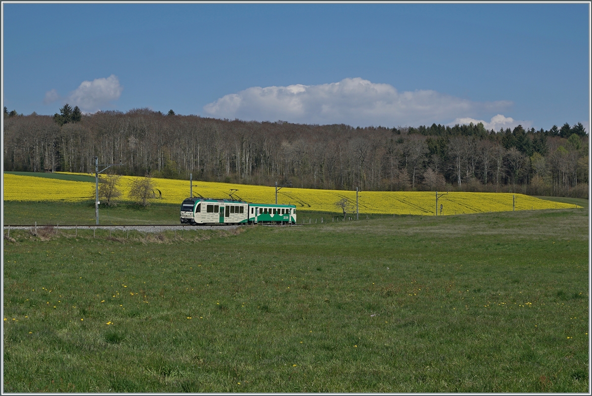 A BAM local train near Apples. 

20.04.2021