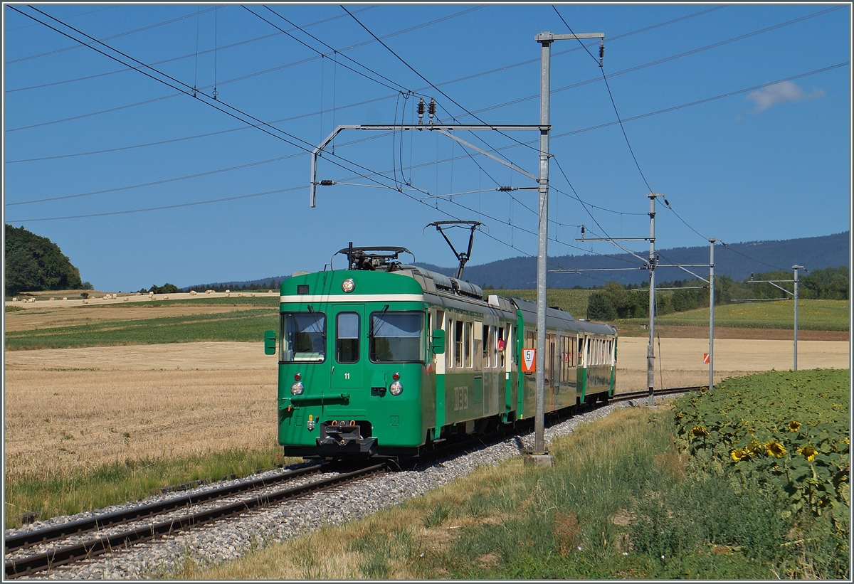 A BAM local train on th way to Bière near Chardonnay-Château. 
21.07.2015