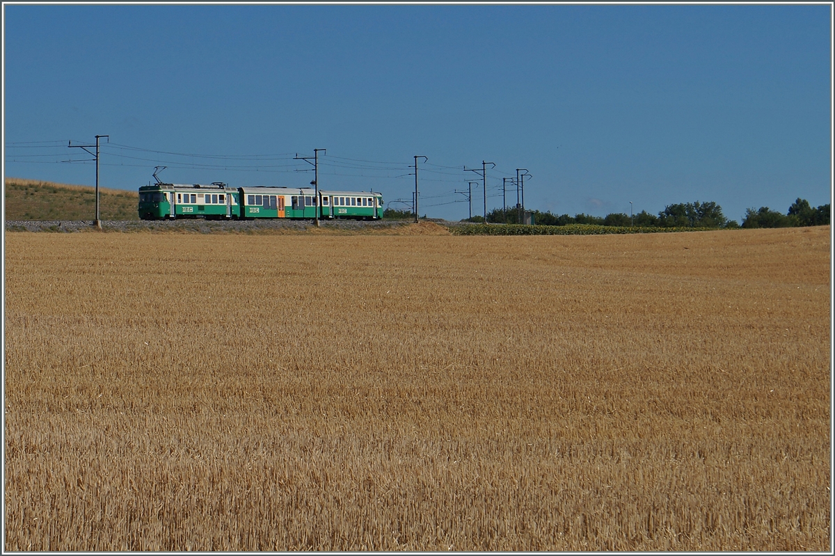 A BAM local train on th way to Bière near Chardonnay-Château. 
21.07.2015