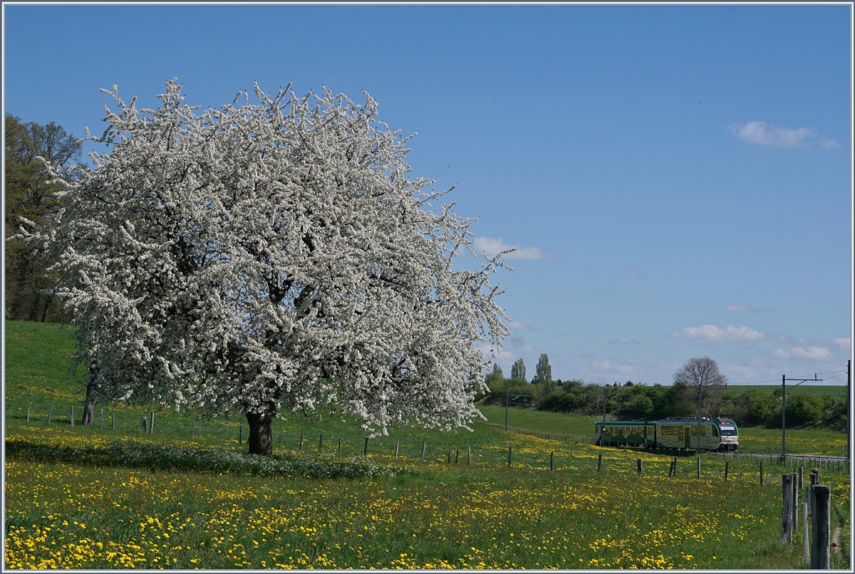 A BAM local train on the way to L'Isle by Apples. 
14.04.2017